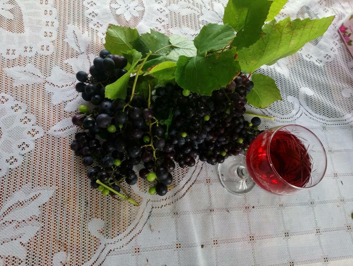 Guest House And Cellar Winery In Ortabatumi Batumi Georgia المظهر الخارجي الصورة