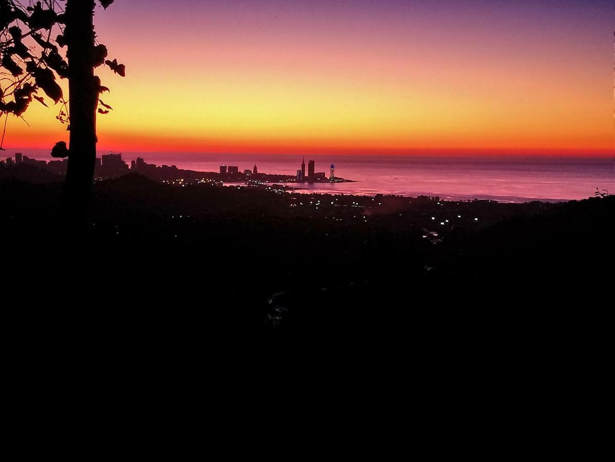 Guest House And Cellar Winery In Ortabatumi Batumi Georgia المظهر الخارجي الصورة