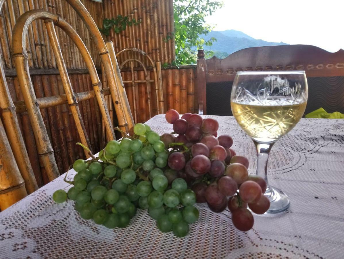 Guest House And Cellar Winery In Ortabatumi Batumi Georgia المظهر الخارجي الصورة