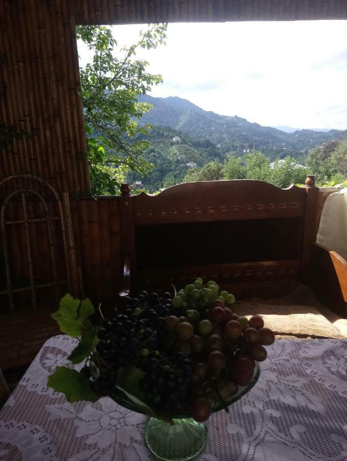 Guest House And Cellar Winery In Ortabatumi Batumi Georgia المظهر الخارجي الصورة